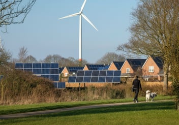 What Makes a Pet-Friendly Electricity Plan?