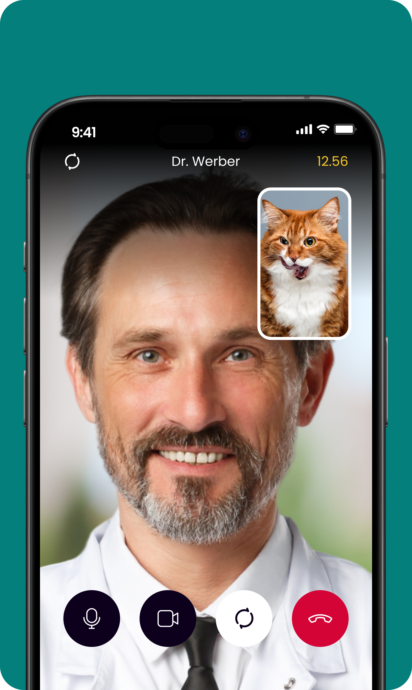 image of a vet on avirtual consultation with a dog through the airvet app