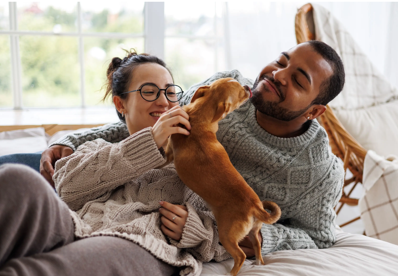 image of a couple in cozy sweaters playing with a dog