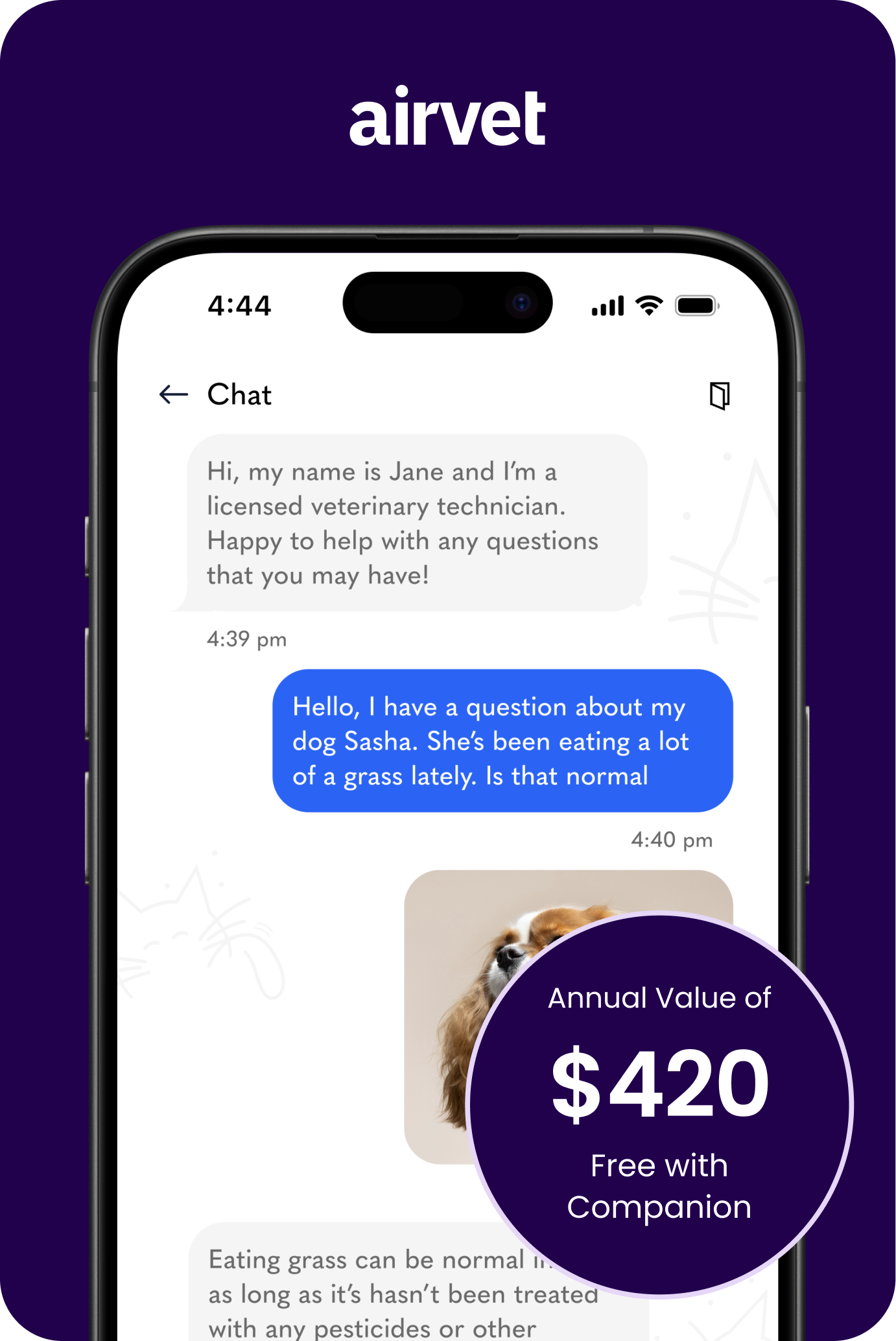image of a converstaion between the enduser and the vet through the airvet app