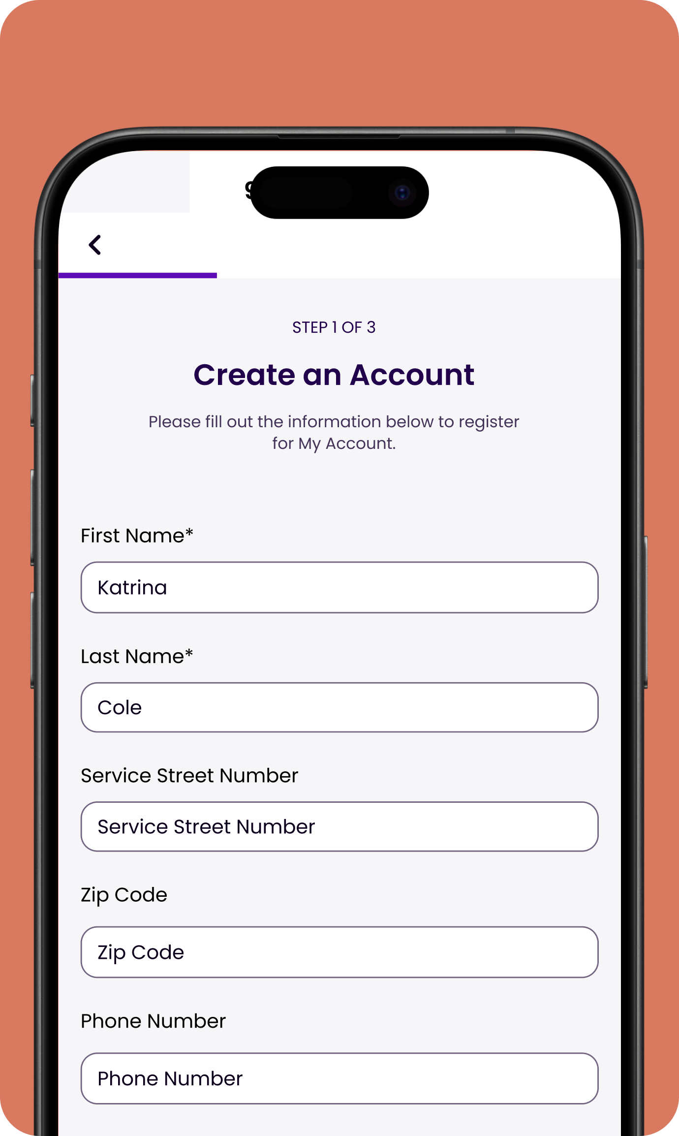 preview of the companion app with a registration form