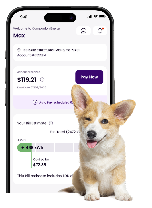 image of a dog in front of a phone screen