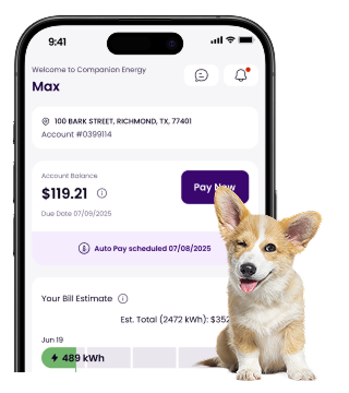 image of a dog in front of a phone screen
